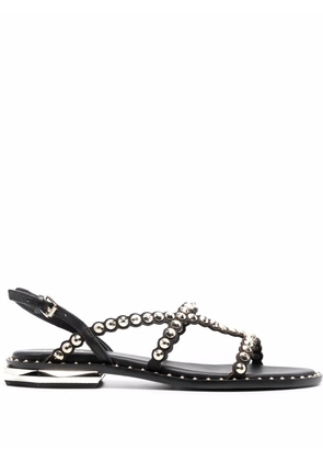Ash Paolo studded leather sandals - Black