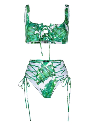 Noire Swimwear Jungle high-waist bikini bottoms - Green