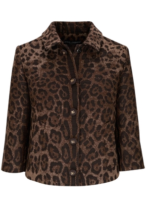Dolce & Gabbana leopard-patterned jacquard jacket - Brown