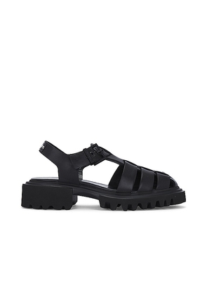 ALLSAINTS Nessa Sandal in Black. Size 36, 38, 39, 40.