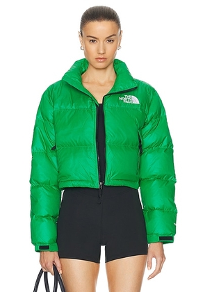 The North Face Nuptse Short Jacket in Optic Emerald - Green. Size L (also in M, S, XL, XS).