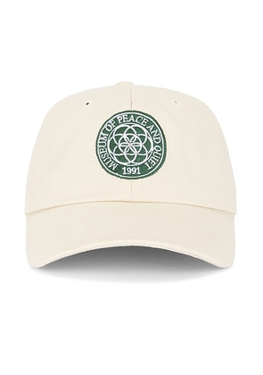 Museum of Peace and Quiet Wellness Center Dad Hat in Bone - Cream. Size all.