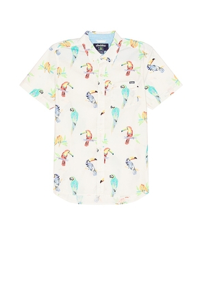 Chubbies The Dude Where's Macaw Friday Shirt in Cream. Size M, S, XL/1X.