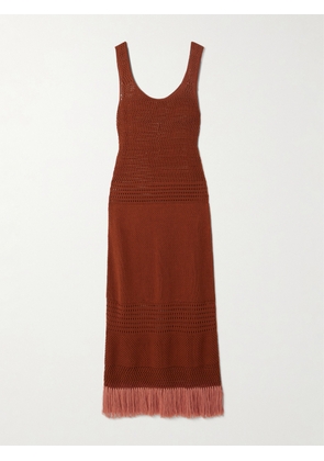 ESCVDO - Laguna Fringed Open-knit Cotton Midi Dress - Brown - x small,small,medium,large