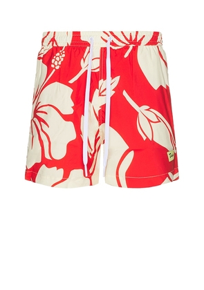 Duvin Design Trouble in Paradise Swim Short in Red. Size M, S, XL/1X.