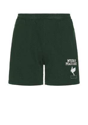 Museum of Peace and Quiet P.e. Mesh Short in Green. Size M, S, XL/1X, XS.