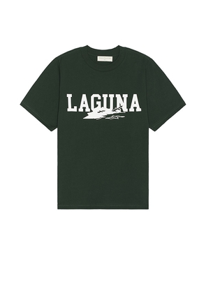 Museum of Peace and Quiet Laguna T-Shirt in Dark Green. Size M, S, XL/1X, XS.
