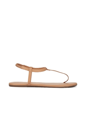 TKEES Mariana Sandal in Brown. Size 6, 7.