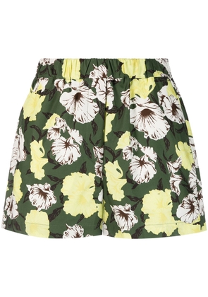 MSGM floral-print cotton shorts - Green