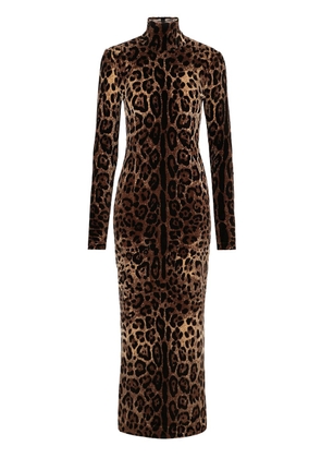 Dolce & Gabbana leopard-print mid-length dress - Brown