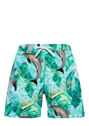 BLUE SKY INN dolphin-print drawstring swim shorts