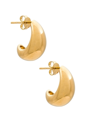 Missoma Small Dome Hoops in Metallic Gold.