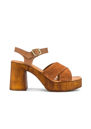 Seychelles Paloma Sandal in Brown. Size 6, 7, 8.5, 9.5.