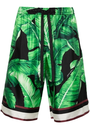 Dolce & Gabbana leaves-print silk shorts - Green