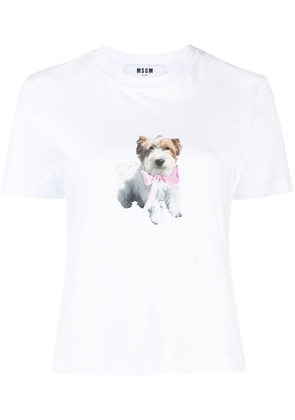 MSGM dog-print cotton T-Shirt - White