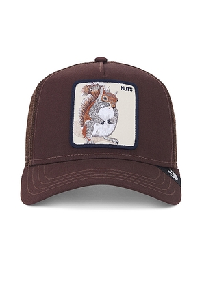 Goorin Brothers The Nuts Squirrel Hat in Brown.