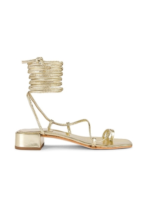 Jeffrey Campbell Agate Sandal in Metallic Gold. Size 6, 7, 8, 9.