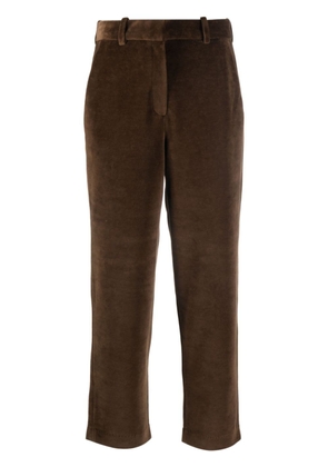 Circolo 1901 velour chino trousers - Brown