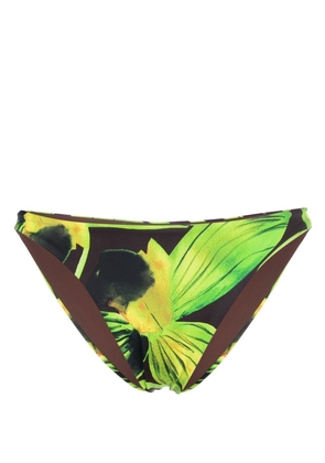 Louisa Ballou graphic-print bikini bottom - Brown