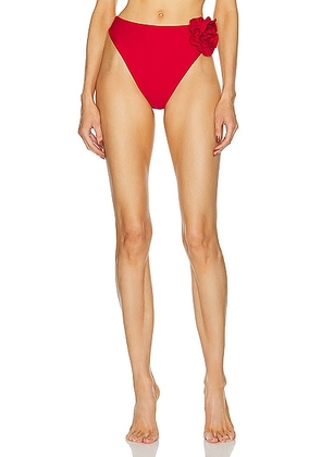LPA Marjorie High Waist Bottom in Red - Red. Size M (also in L, S, XS).