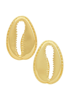 Eliou Concha Earrings in Gold Plated - Metallic Gold. Size all.