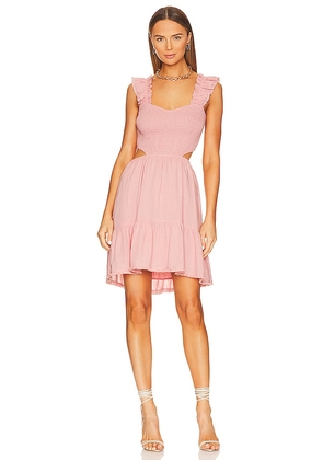 HEARTLOOM Oxford Dress in Pink. Size L, S, XS.