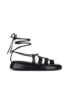 Jeffrey Campbell Innovate Sandal in Black. Size 8, 8.5, 9.5.