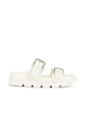 RAYE Dalia Sandal in White. Size 10, 6, 7, 8, 9.