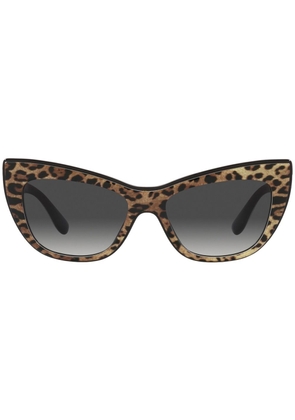 Dolce & Gabbana Eyewear leopard-print tinted sunglasses - Brown