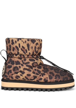 Dolce & Gabbana leopard-print boots - Brown