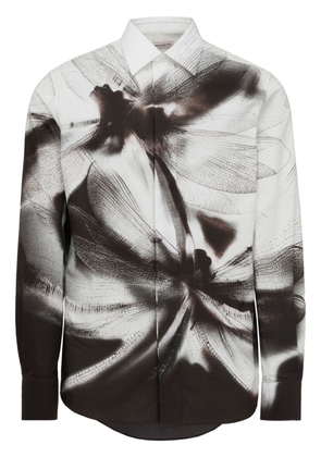 Alexander McQueen Dragonfly Shadow-print cotton shirt - Black
