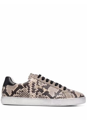 Palm Angels New Tennis python-print sneakers - Brown