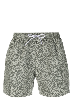 Closed leopard-print swim shorts - Green