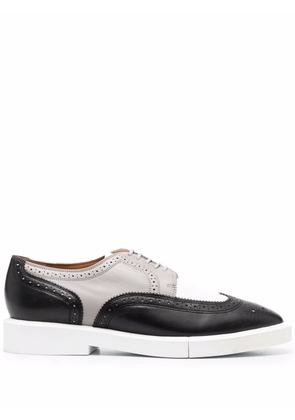 Robert Clergerie colour-block Oxford shoes - Black