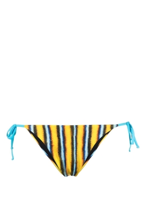 Roberto Cavalli stripe-print bikini bottoms - Yellow