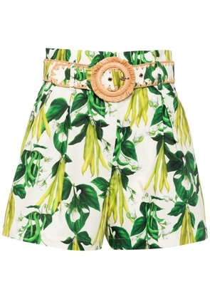Cara Cara Palmer sweet pea-print cotton shorts - Green