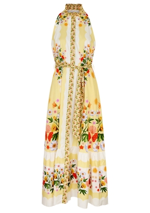 Borgo DE Nor Biba Floral-print Cotton Maxi Dress - Yellow - 10 (UK10 / S)