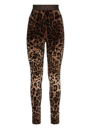 Dolce & Gabbana leopard-print jacquard leggings - Brown