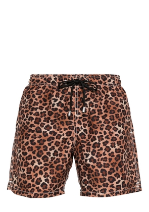 MC2 Saint Barth Gustavia animalier-print swim shorts - Brown