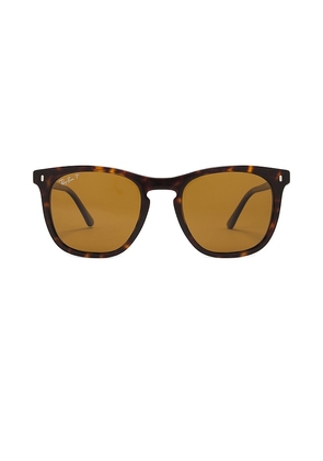 Ray-Ban Polarized Sunglasses in Brown.