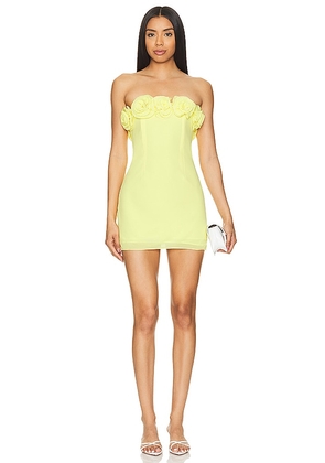 Lovers and Friends Jemma Mini Dress in Yellow. Size L, S, XL, XS, XXS.