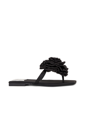 Jeffrey Campbell Perennial Sandal in Black. Size 6, 6.5, 7, 7.5, 8, 8.5, 9, 9.5.