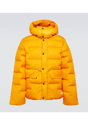 The North Face RMST Sierra parka