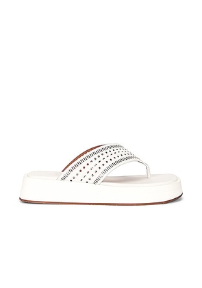 ALAÏA Vienne Plastron Thong Sandals in Blanc Casse - White. Size 40 (also in 41).