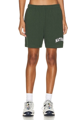 Museum of Peace and Quiet Natural Sweat Shorts in Forest - Green. Size XL/1X (also in ).