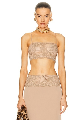 Blumarine Lace Cropped Camisole Top in Amphora - Taupe. Size 36 (also in 38, 42).