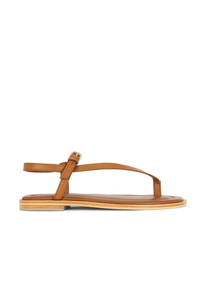 A.EMERY Pae Sandal in Deep Tan - Tan. Size 35 (also in 36, 37, 38, 39, 40, 41).