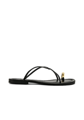 Jeffrey Campbell Pacifico Sandal in Black. Size 7.