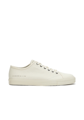 ALLSAINTS Theo Low Top in White. Size 8.