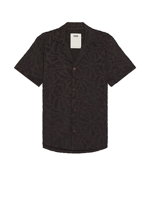 OAS Blossom Cuba Terry Shirt in Brown - Chocolate. Size L (also in M, S, XL/1X).